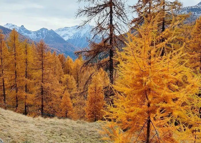 Casa Indipendente Val D'ayas - Saint Anselme Nyaraló *
